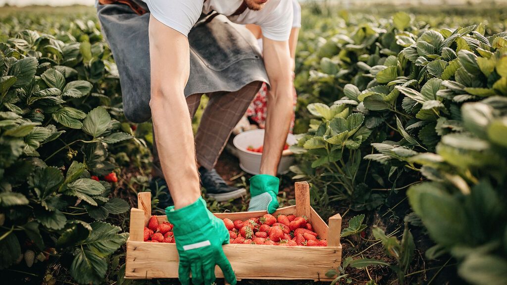 GettyImages-1238650665