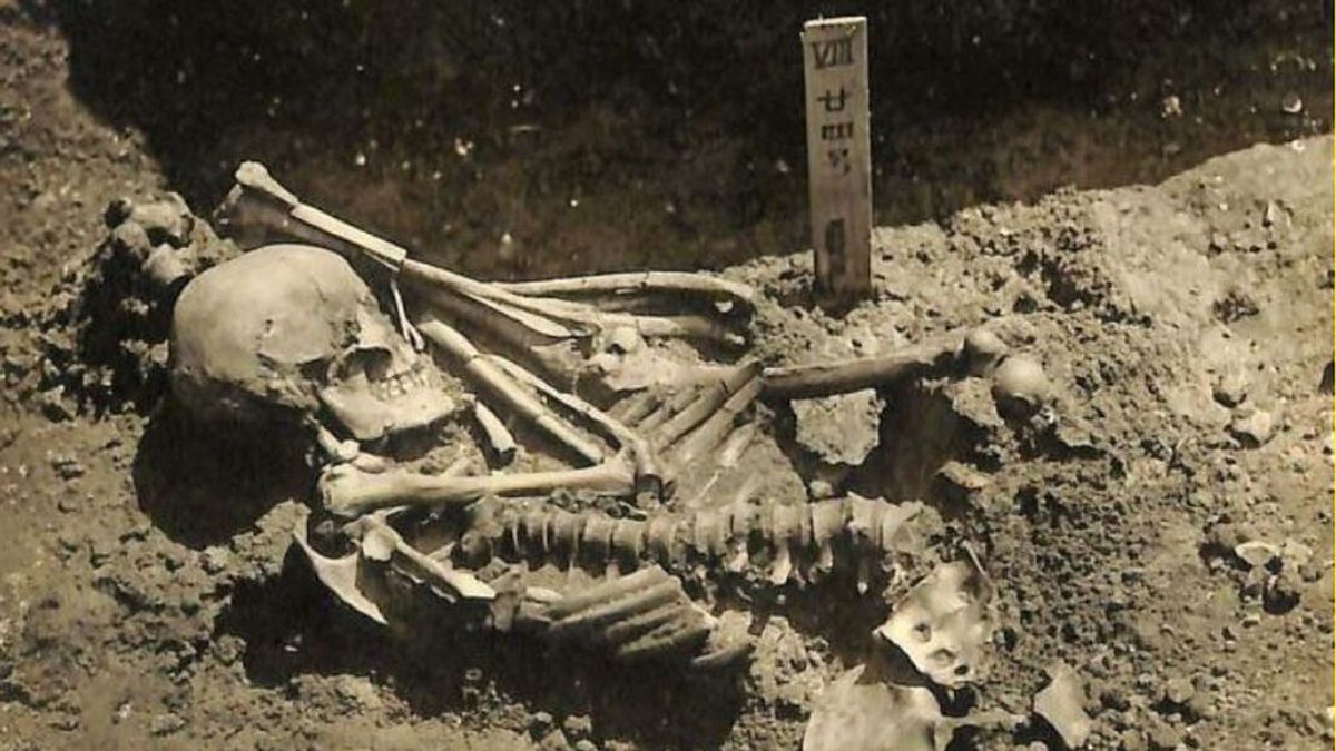 La víctima más antigua de un tiburón: un pescador japonés de hace 3.000 años La víctima más antigua de un tiburón: un pescador japonés de hace 3.000 años