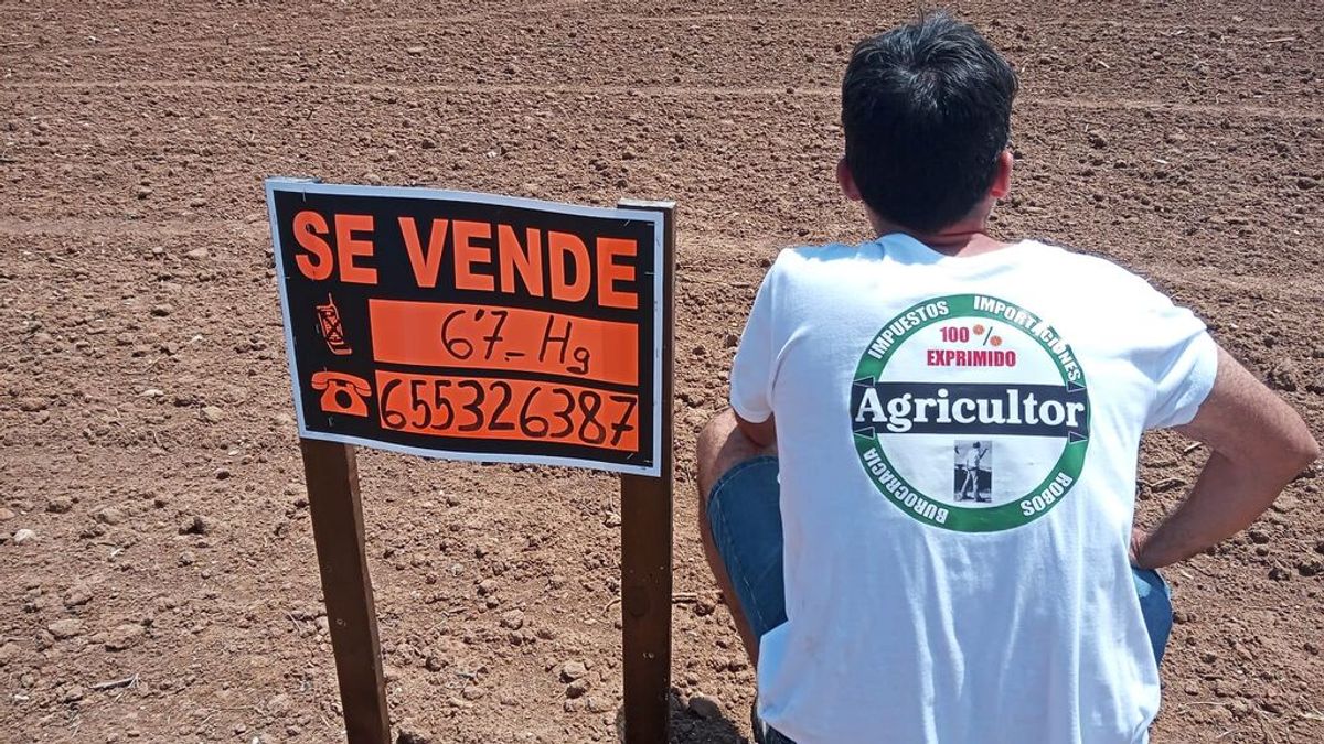 El campo valenciano en liquidación: “Mi abuelo lo trabajó y yo tengo que malvenderlo porque no es rentable” El campo valenciano en liquidación: “Mi abuelo lo trabajó y yo tengo que malvenderlo porque no es rentable”