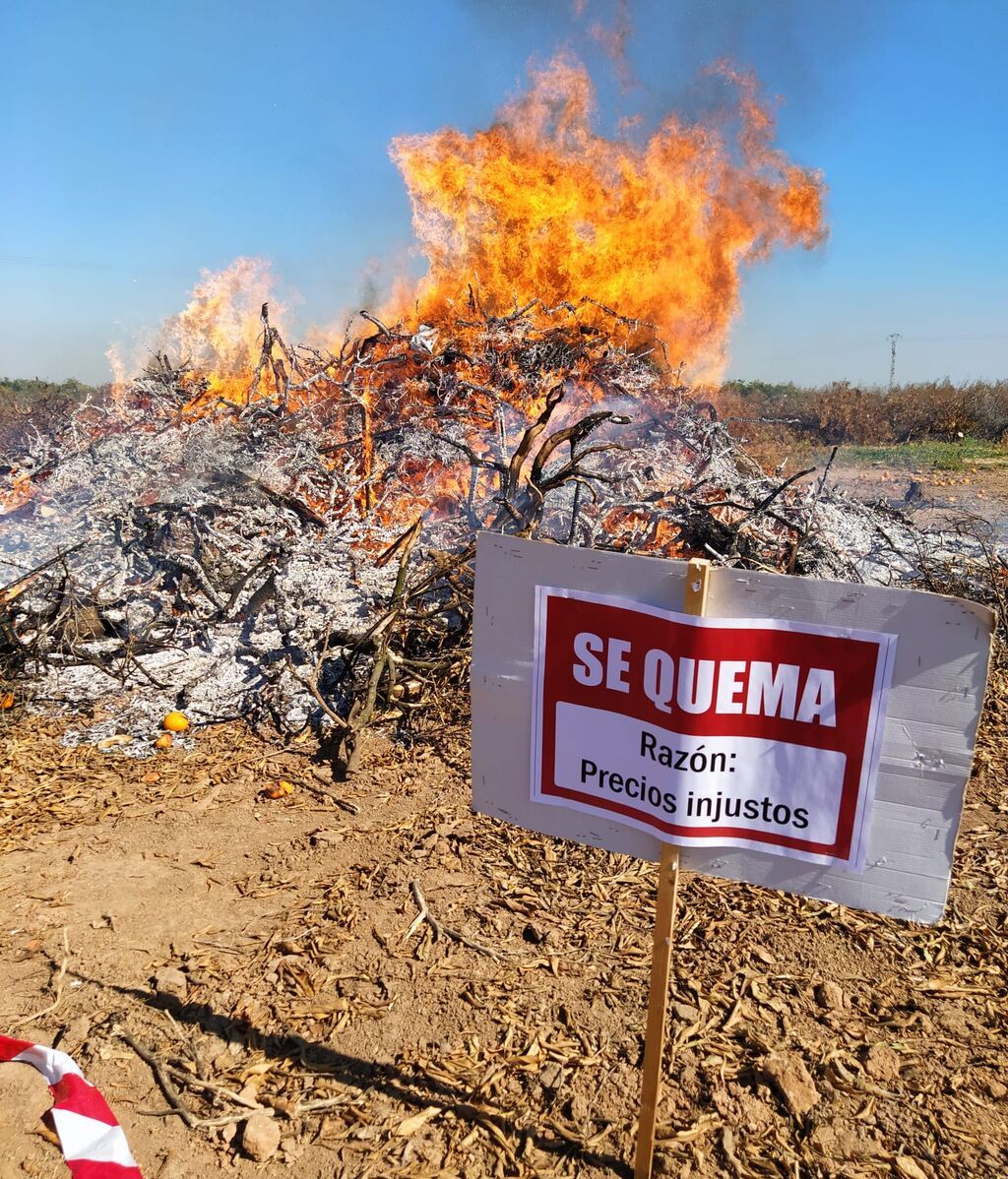 Quema naranjos