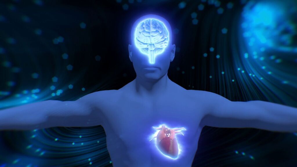 La conexión entre cerebro y corazón existe de forma real: “Tenemos 60.000 neuronas en el corazón”