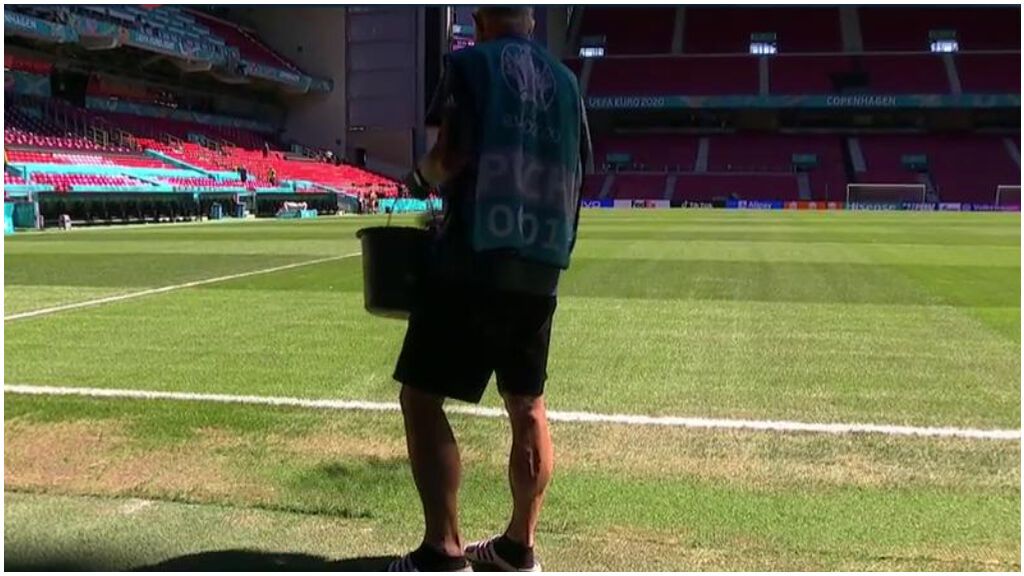 Así está el césped del Parken Stadium