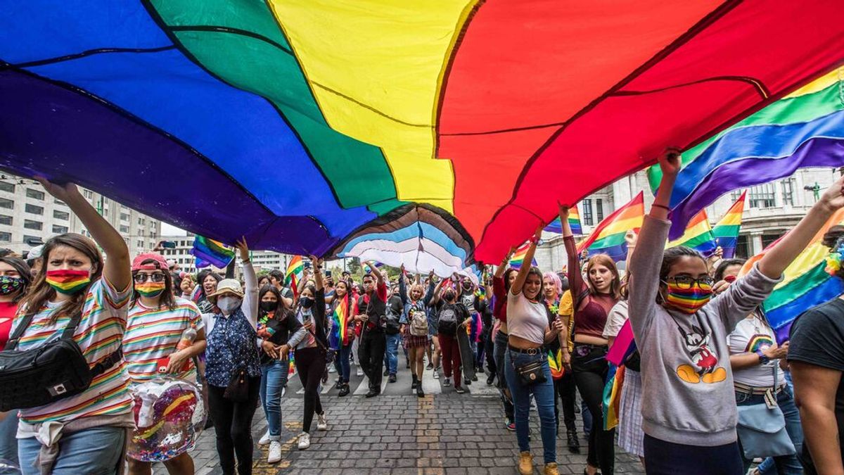 El Gobierno defiende el "equilibrio de derechos" de la ley trans: "O llegamos todas o no va a llegar ninguna" El Gobierno defiende el "equilibrio de derechos" de la ley trans: "O llegamos todas o no va a llegar ninguna"