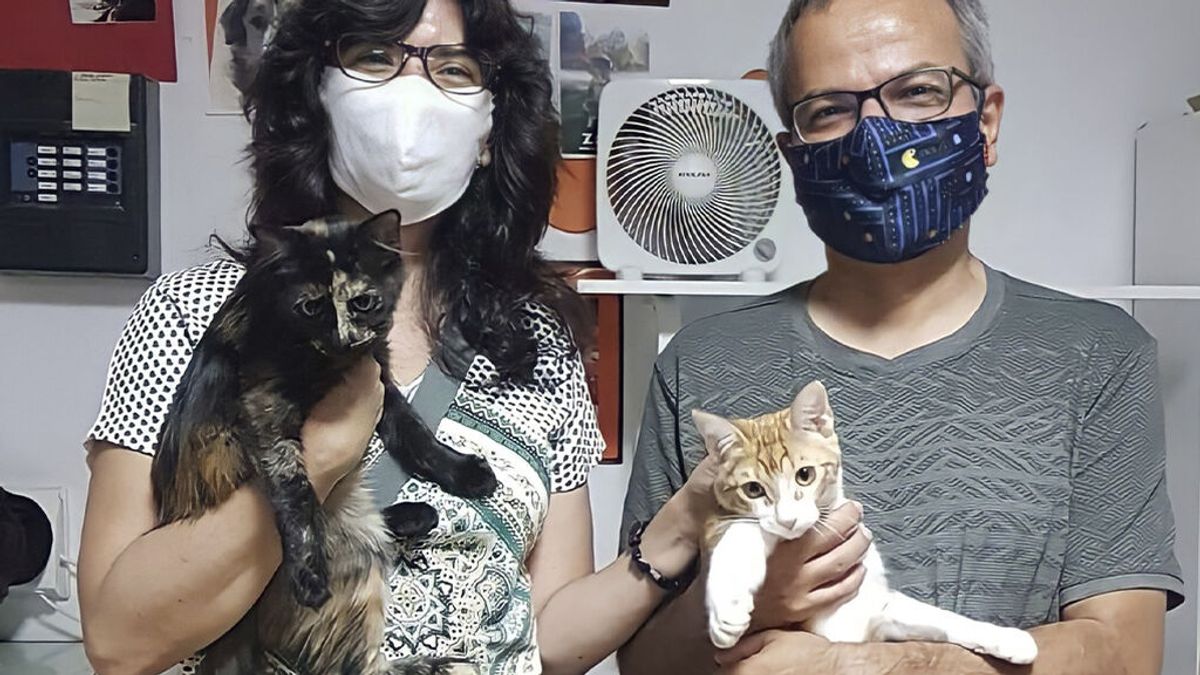 'Pandemic pet': "A los 50, la presencia de mi mascota me calma"