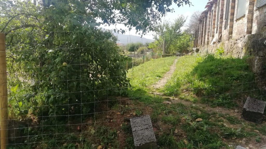 Camino de tierra propiedad de una vecina por el que Rosa accedía, hasta ahora, a su casa.