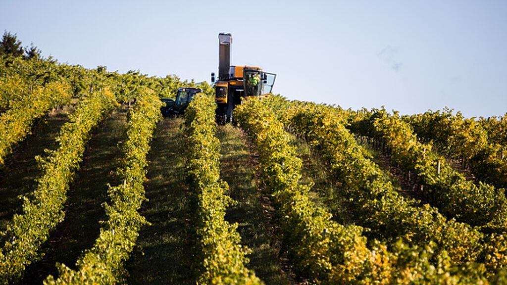 Los aranceles chinos se ceban con el vino australiano