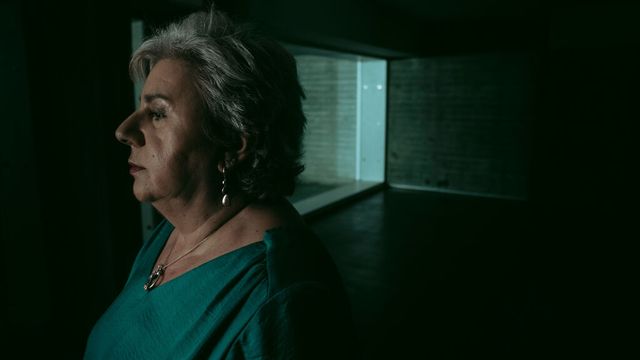 Dolores La Verdad Sobre El Caso Wanninkhof Episodios