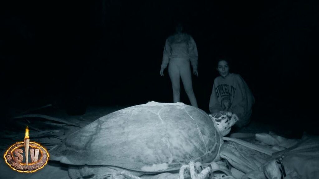 Los supervivientes muy emocionados al encontrarse una gigantesca tortuga: "Es lo más increíble que he visto"