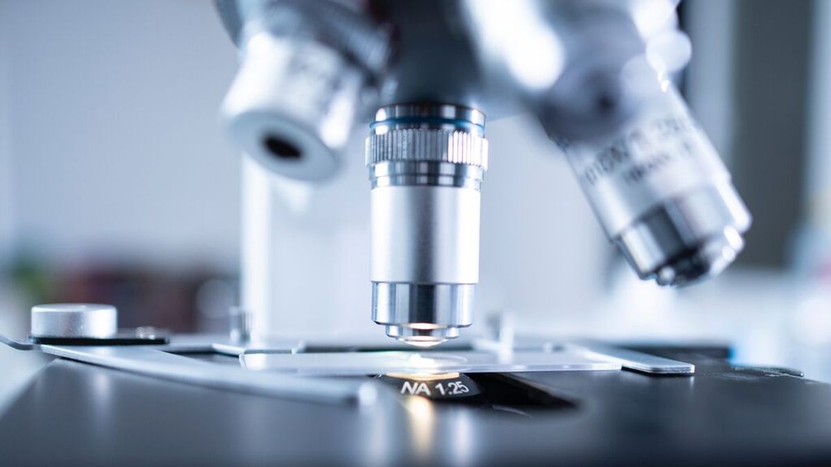 Nueva visión sobre la evolución: investigadores andaluces ubican el origen de la vida en una bacteria Nueva visión sobre la evolución: investigadores andaluces ubican el origen de la vida en una bacteria
