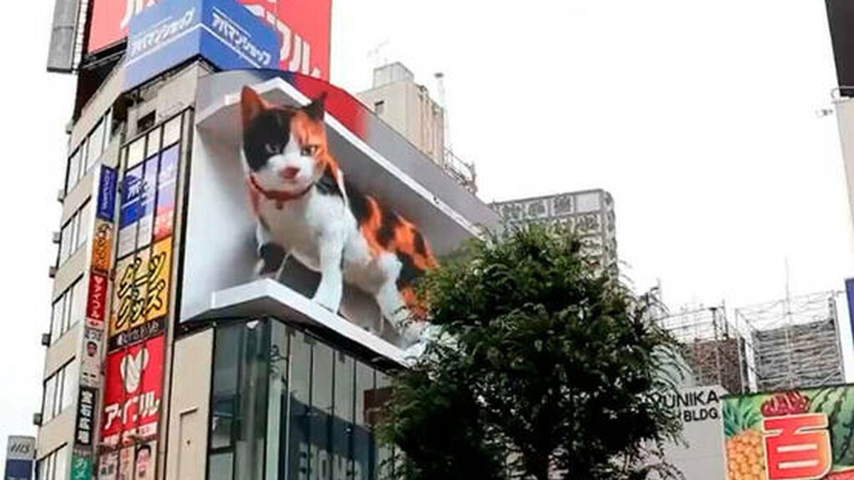 Un gato gigante en 3D vigila desde las alturas uno de los barrios más concurridos de Tokio Un gato gigante en 3D vigila desde las alturas uno de los barrios más concurridos de Tokio