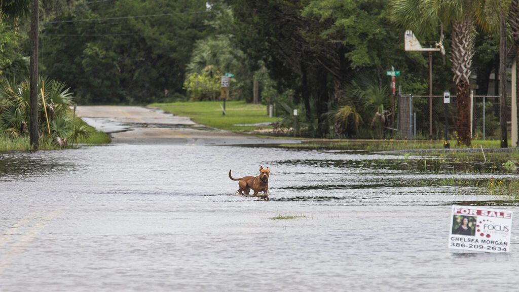 La tormenta tropical Elsa avanza por la costa este y desembarcará en Nueva York