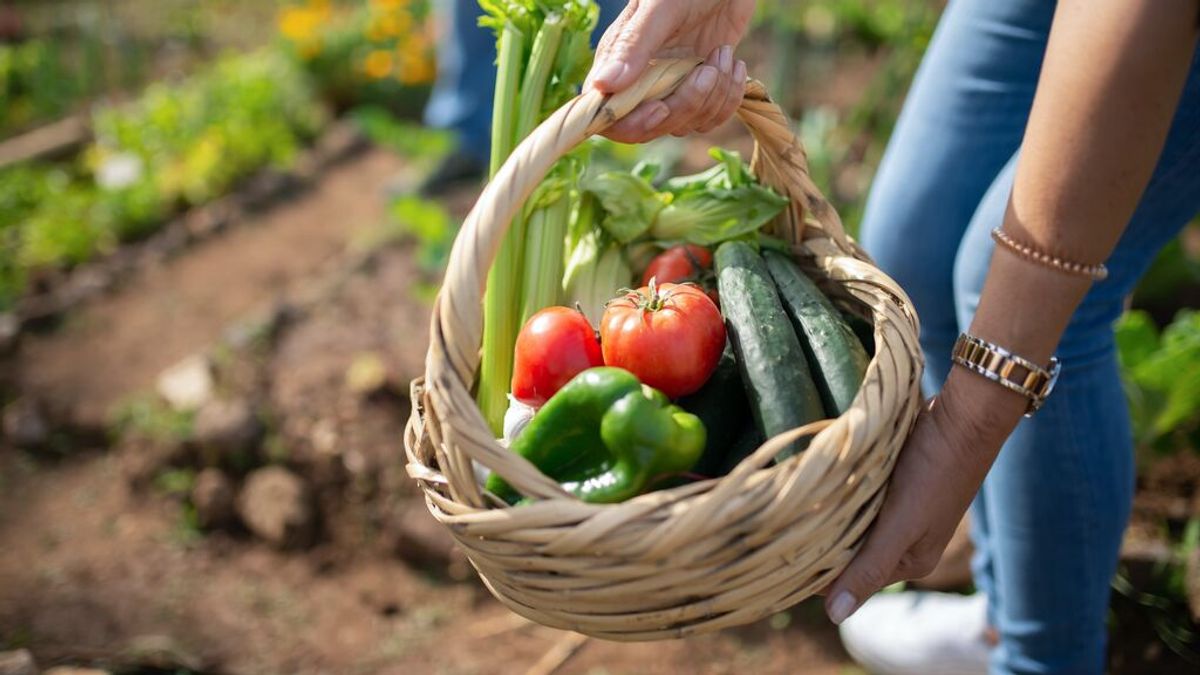 Cómo cultivar un huerto urbano Cómo cultivar un huerto urbano