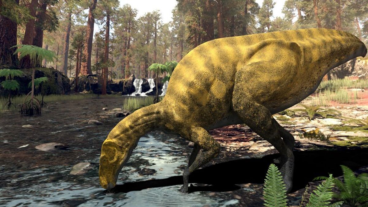 Descubren una especie desconocida de dinosaurio del tamaño de un autobús en Castellón Descubren una especie desconocida de dinosaurio del tamaño de un autobús en Castellón