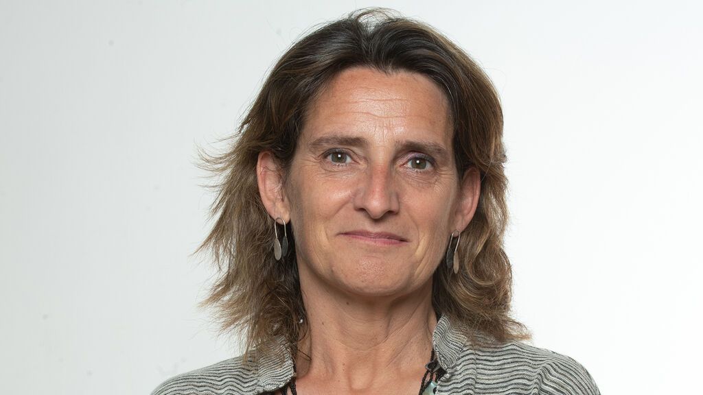 140120202_Teresa Ribera Rodríguez