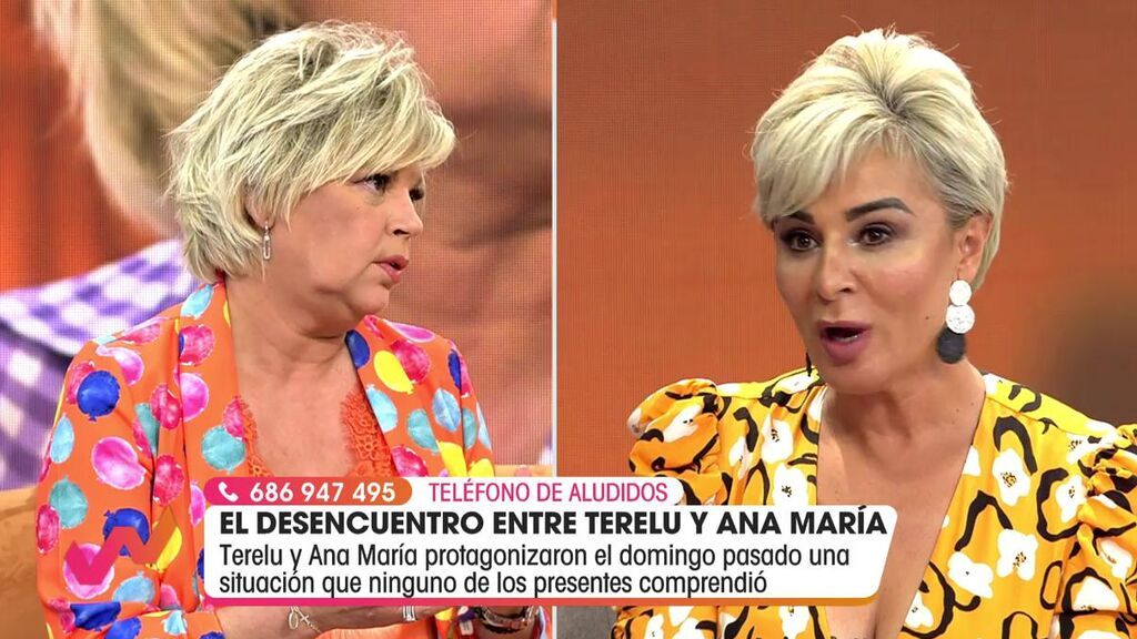 Terelu Campos pide perdón a Ana María Aldón