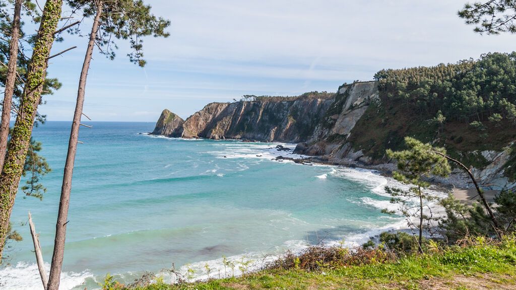Playa de Oleiros: un bosque de pinos con vistas al mar