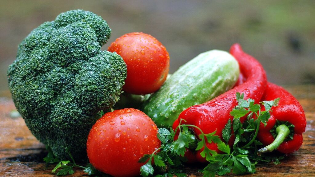 La dieta plant-based, ha llegado para mejorar nuestra salud y la del mundo.