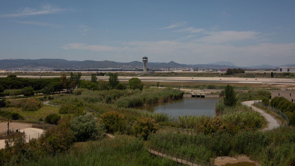 Bruselas avisa de que la ampliación dd El Prat "no puede afectar significativamente" el delta del Llobregat Bruselas avisa de que la ampliación dd El Prat "no puede afectar significativamente" el delta del Llobregat