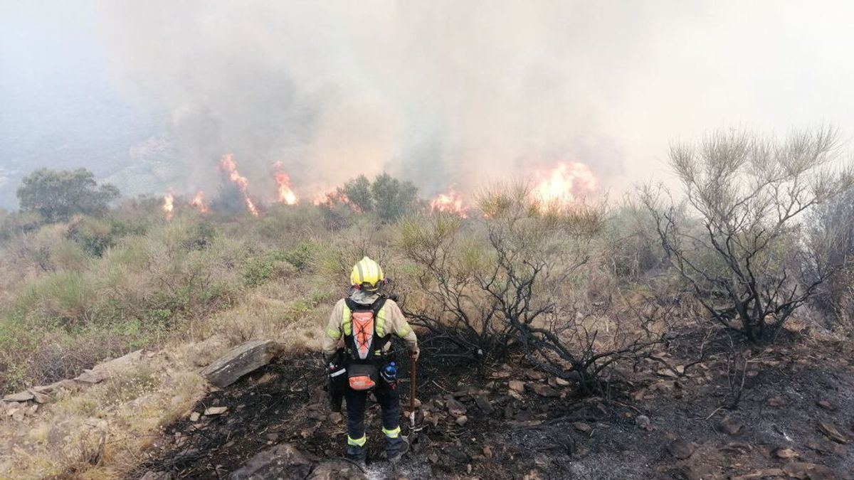 El incendio del Cap de Creus ya afecta 500 hectáreas y provoca el desalojo de 350 vecinos