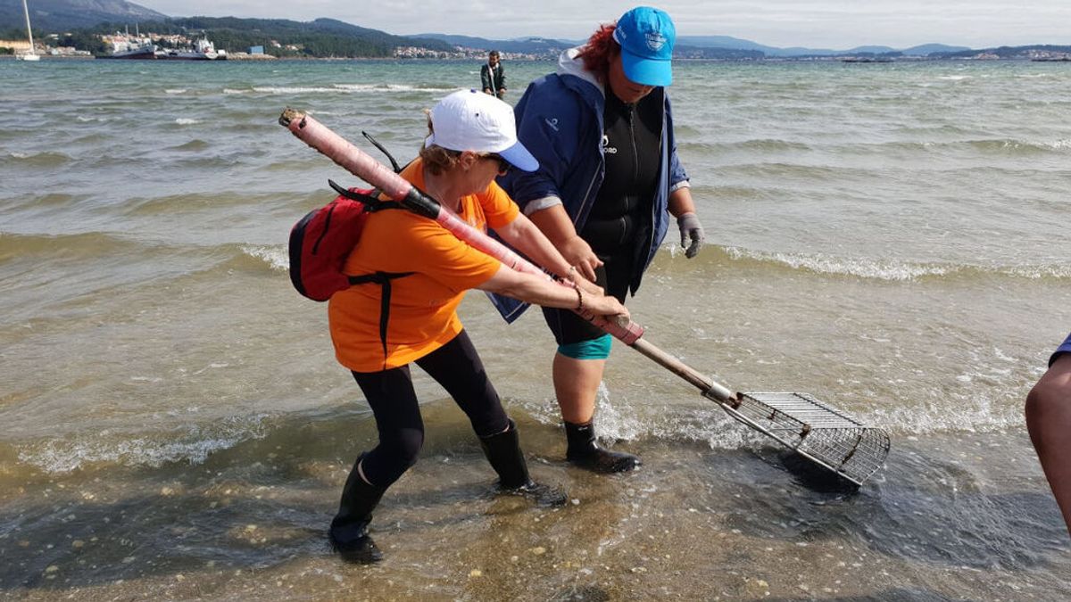 Turistas pagan 12 euros por trabajar un día con las mariscadoras de A Pobra do Caramiñal Turistas pagan 12 euros por trabajar un día con las mariscadoras de A Pobra do Caramiñal