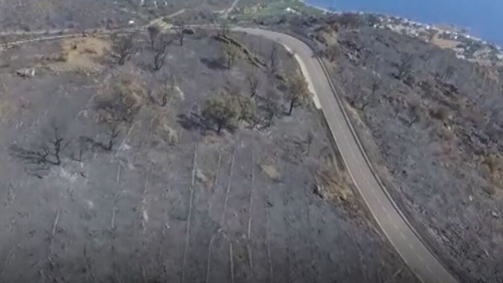 Así ha quedado el Parque natural del Cap de Creus por culpa de una colilla