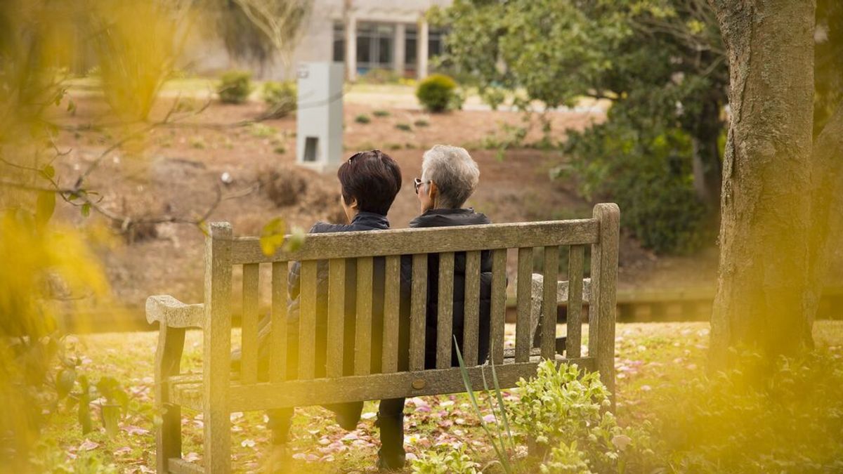 Día mundial de los abuelos Día mundial de los abuelos