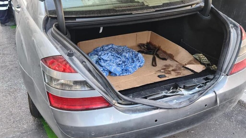 Coche en el que dejaron encerrados a tres perros para ir al teatro en Madrid