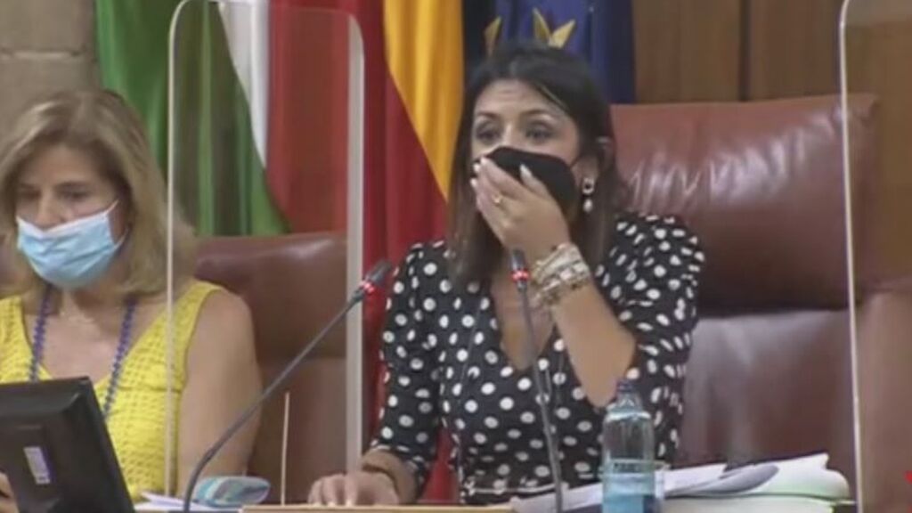 Un roedor interrumpe la sesión del Parlamento de Andalucía
