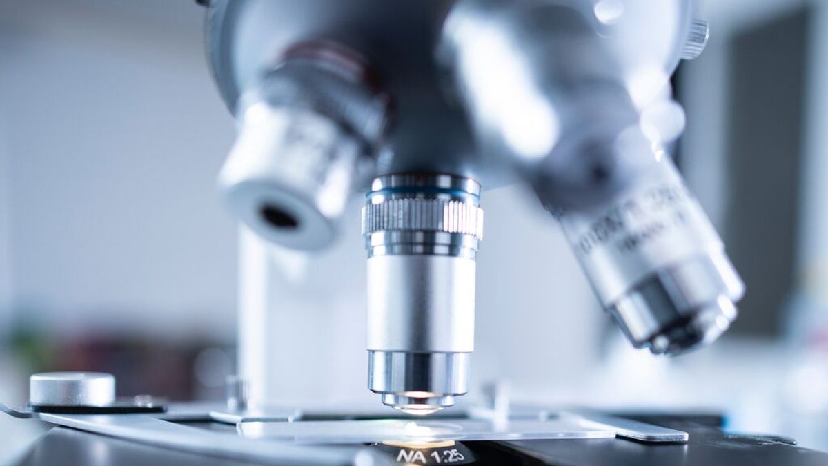 Denuncian la carrera de obstáculos que supone la ciencia en España : "El problema es que no hay pastel para todos, aún colean los efectos de los salvajes recortes de Rajoy" Denuncian la carrera de obstáculos que supone la ciencia en España : "El problema es que no hay pastel para todos, aún colean los efectos de los salvajes recortes de Rajoy"