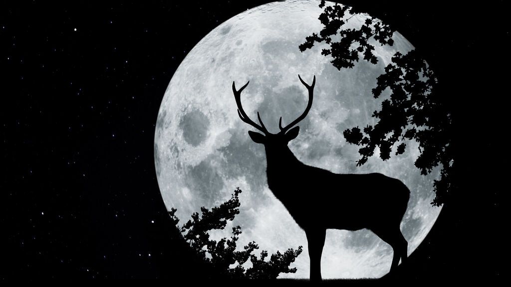 GettyImages-1171144450