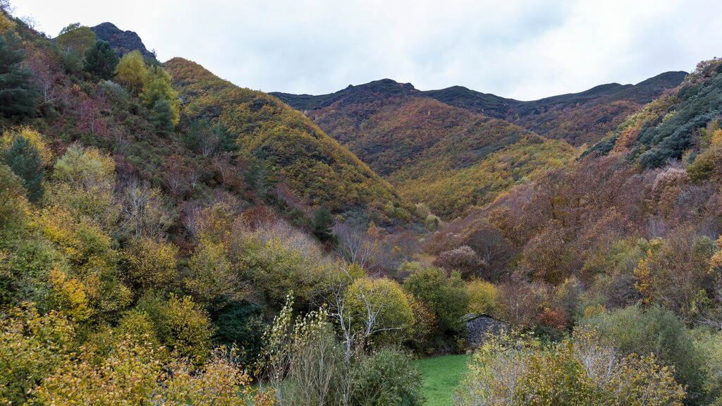 BOSQUE AUTÓCTONO AS VALIÑAS DE VISUÑA