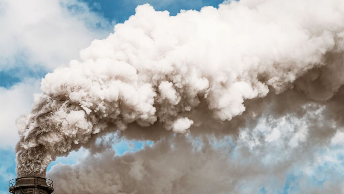 Un CO2 por las nubes dispara el apetito de los especuladores: su presencia en este mercado se triplica desde 2018 Un CO2 por las nubes dispara el apetito de los especuladores: su presencia en este mercado se triplica desde 2018