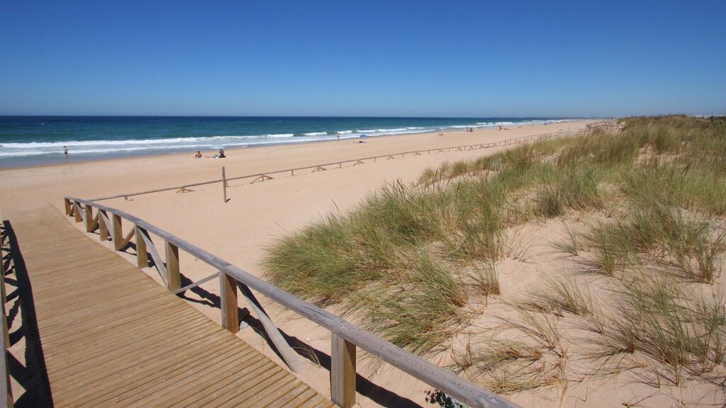 Playa_del_palmar