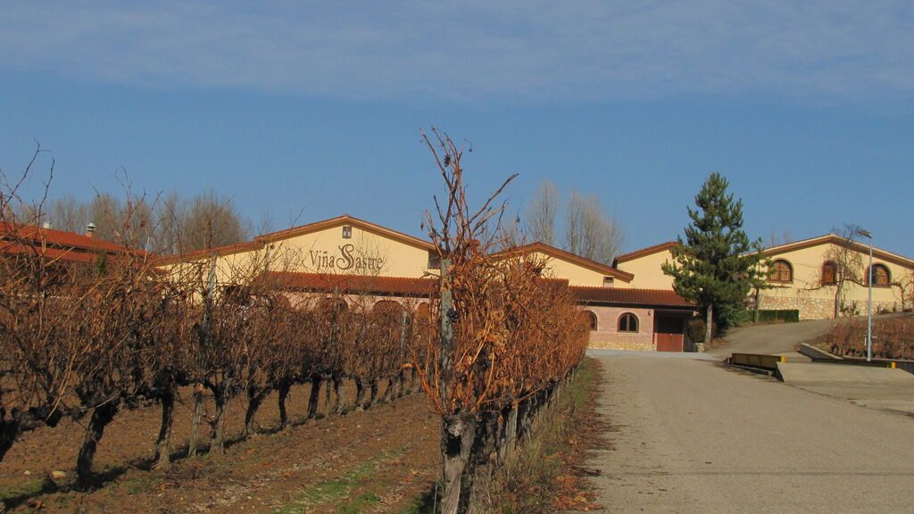 Viñedos de Villa Sastre, en Burgos.