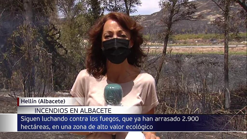 El fuego de Liétor, en Albacete, arrasa 1 000 hectáreas: la UME se incorporará a las labores de extinción