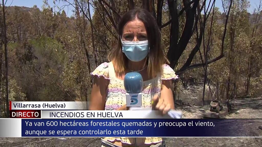El incendio Villarrasa, Huelva, permanece pendiente de estabilizar tras calcinar 600 hectáreas