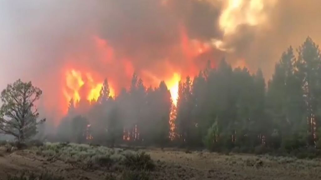 El incendio en la costa oeste de EEUU lleva ya más de 20.000 hectáreas calcinadas