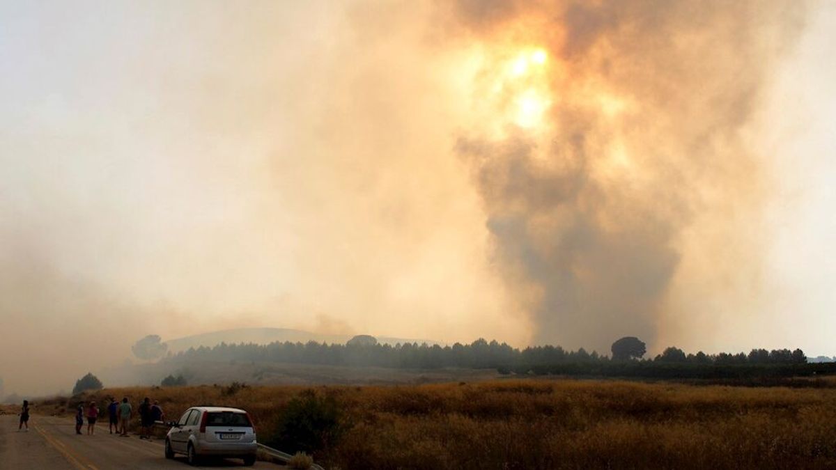 La UME se incorpora al incendio de Albacete que ha quemado ya 1.000 hectáreas La UME se incorpora al incendio de Albacete que ha quemado ya 1.000 hectáreas