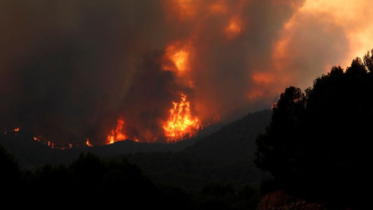 Una colilla o chispazo de un vehículo, posibles causas de incendio Cataluña que ya ha arrasado 1.200 hectáreas