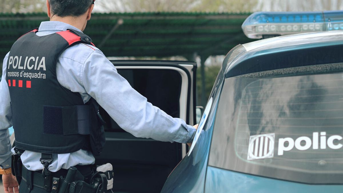 Ingresa en prisión un ladrón de Terrassa que actuaba con una barba pelirroja Ingresa en prisión un ladrón de Terrassa que actuaba con una barba pelirroja