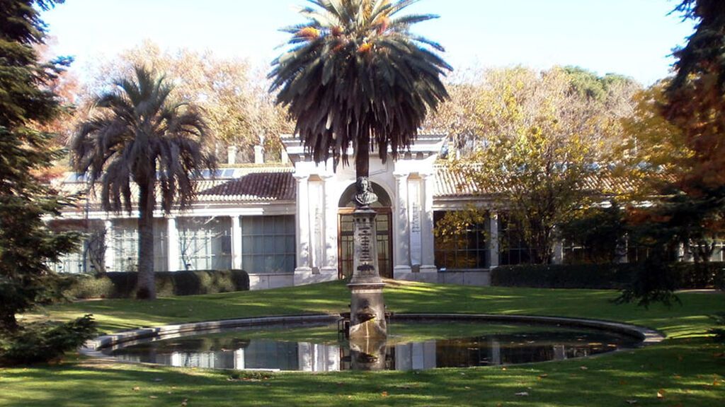 Jardin-Botanico-Madrid-Linneo