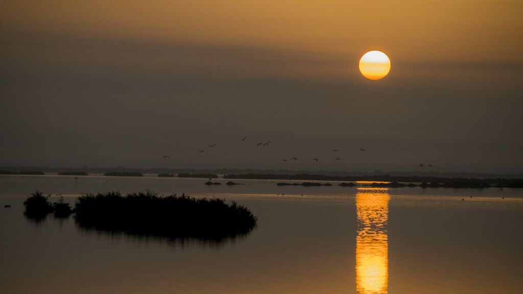 Amanecer_en_Doñana
