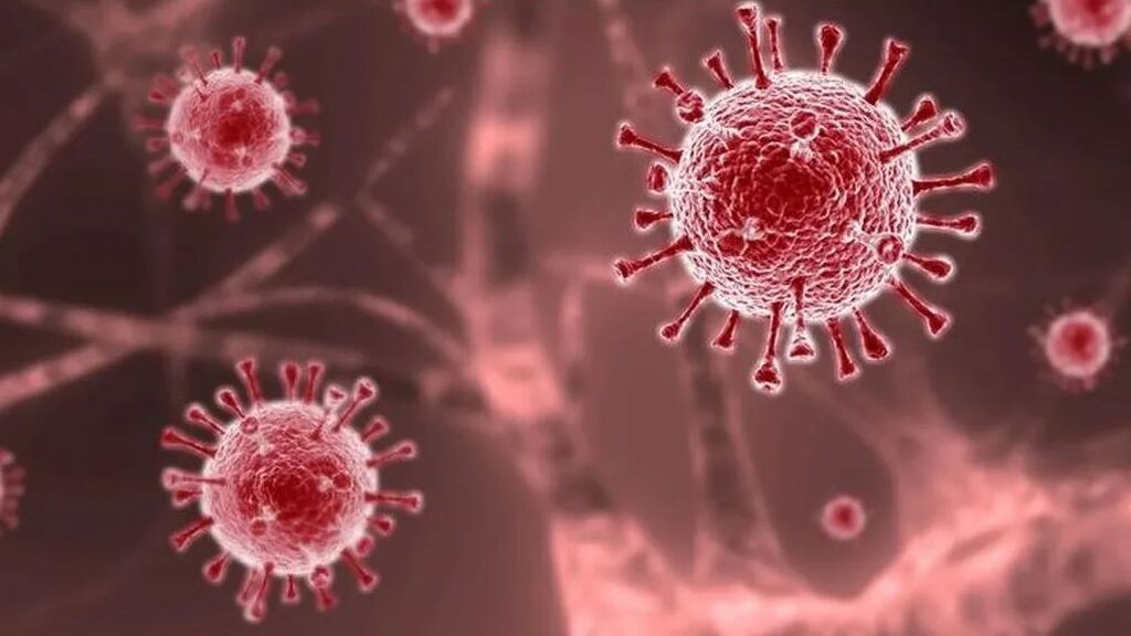 Advierten sobre la variante delta: "Es de los virus más transmisibles que conocemos", los vacunados la contagian