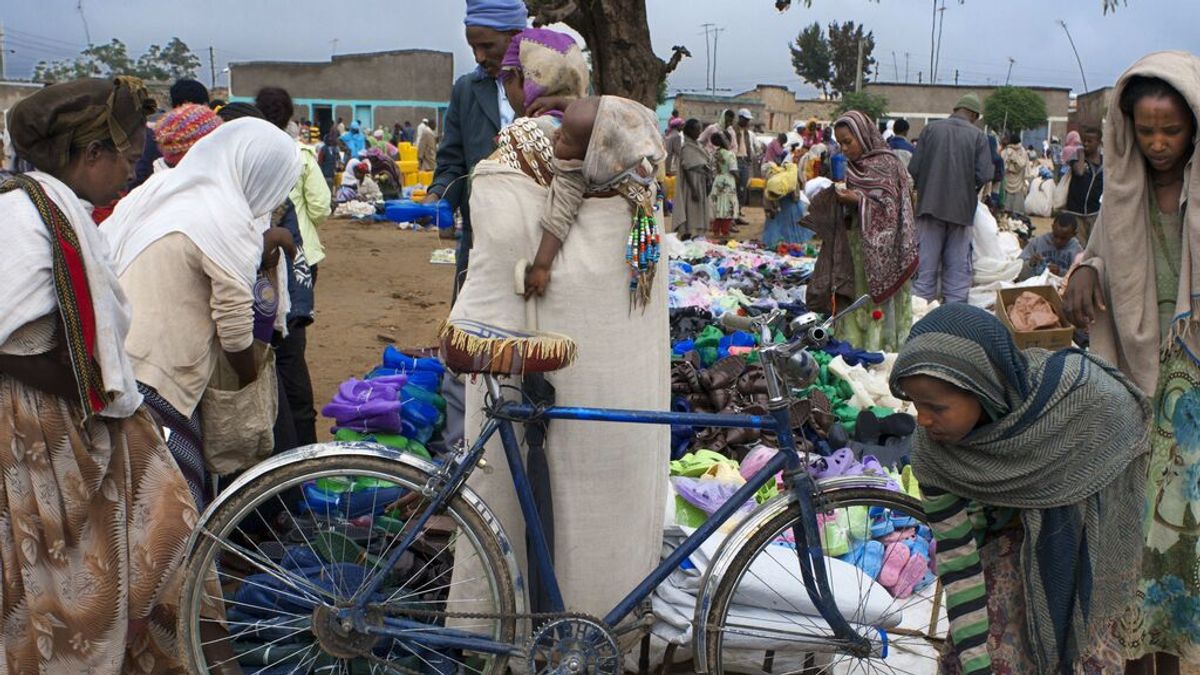 100.000 niños están en riesgo de morir desnutridos en la región etíope de Tigray el próximo año, según UNICEF 100.000 niños están en riesgo de morir desnutridos en la región etíope de Tigray el próximo año, según UNICEF
