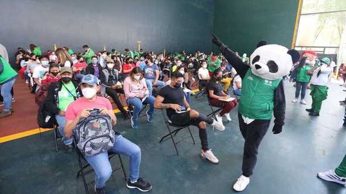Pandemio, el panda que anima las colas de vacunación en México Pandemio, el panda que anima las colas de vacunación en México