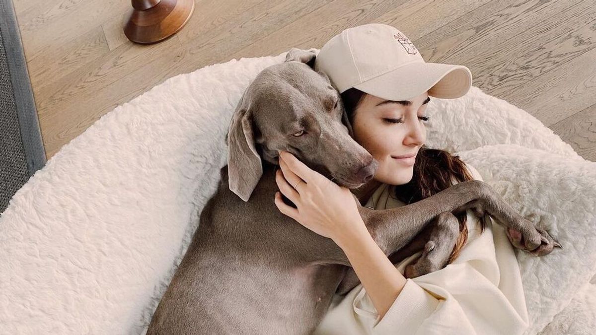 Hande Erçel abre una cuenta de Instagram a uno de sus perros