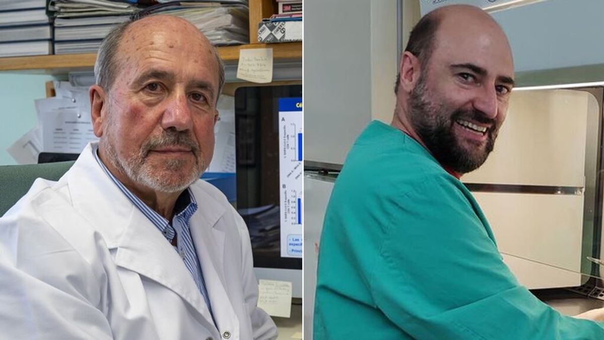 Los creadores de la vacuna española contra la covid desmienten la paralización de los ensayos por la muerte de un mono Los creadores de la vacuna española contra la covid desmienten la paralización de los ensayos por la muerte de un mono