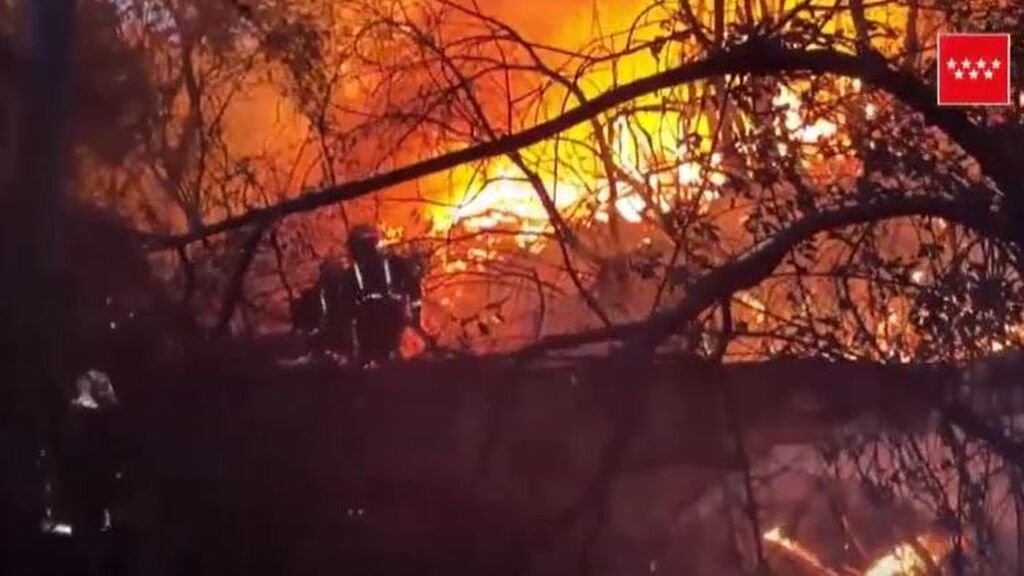 Estabilizan el incendio forestal del Pantano de San Juan de Madrid