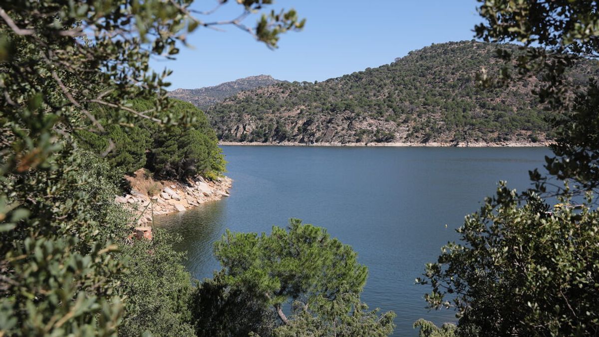 Matorral y pino bajo, la mayor parte de la vegetación afectada por el incendio en el Pantano de San Juan Matorral y pino bajo, la mayor parte de la vegetación afectada por el incendio en el Pantano de San Juan