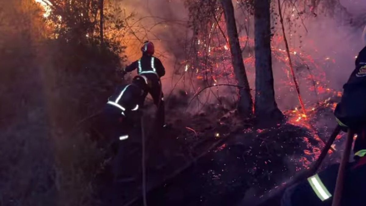 Estabilizado el incendio forestal del Pantano de San Juan, en Madrid Estabilizado el incendio forestal del Pantano de San Juan, en Madrid